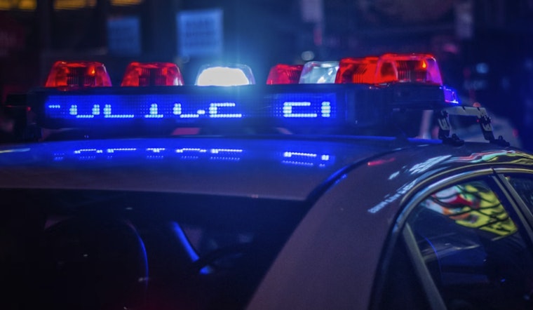 Cops Nab Teen Duo After Late-Night Gun 'Binking' Spree in Elsberry