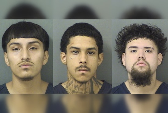 Cops Nab Trio After Gunpoint Vape Deal At West Palm Beach Wendy's