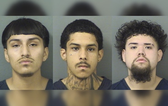Cops Nab Trio After Gunpoint Vape Deal At West Palm Beach Wendy's