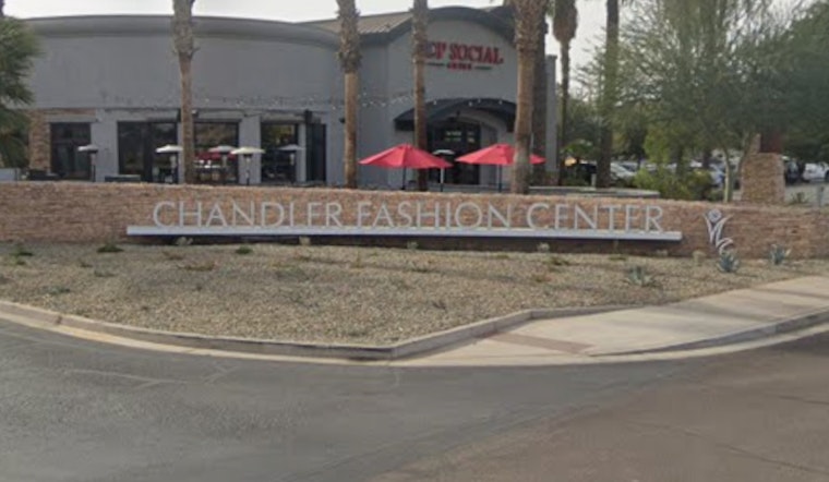 Cops Save Gasping Pup From 132-Degree Oven Car at Chandler Fashion Center