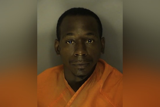 Cops Say Clarendon Man Stole Patrol Car, Led Wild High-Speed Chase Near Green Sea