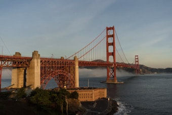 Coyotes, Cameos And Cash: Inside San Francisco's Big-Money 'Comeback City' Pitch