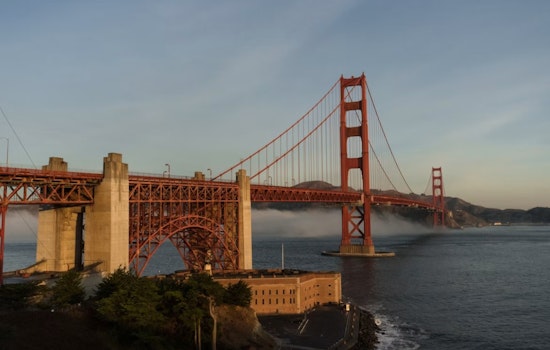 Coyotes, Cameos And Cash: Inside San Francisco's Big-Money 'Comeback City' Pitch