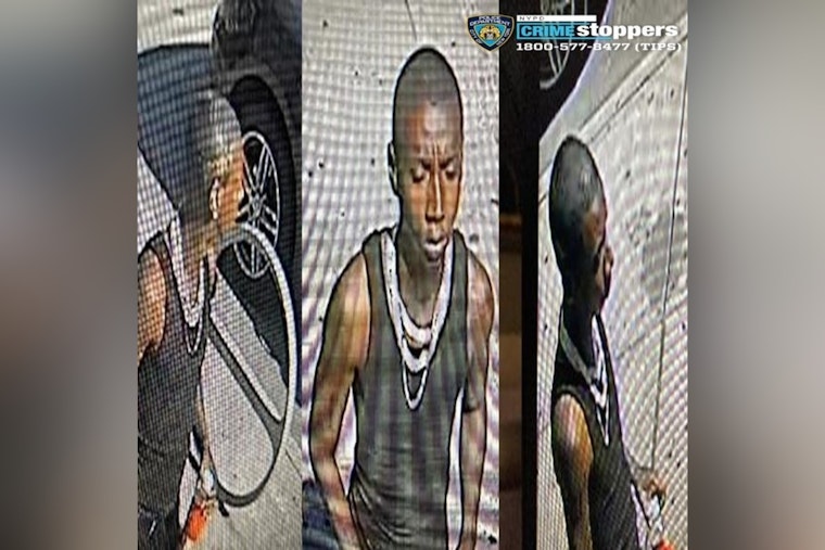 Creep Gropes Teen Outside Cypress Hills Library as NYPD Hunts Suspect