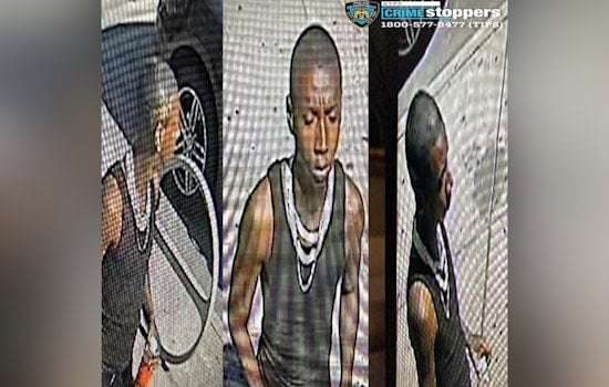 Creep Gropes Teen Outside Cypress Hills Library as NYPD Hunts Suspect