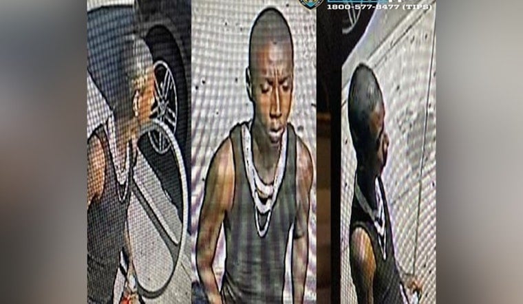 Creep Gropes Teen Outside Cypress Hills Library as NYPD Hunts Suspect
