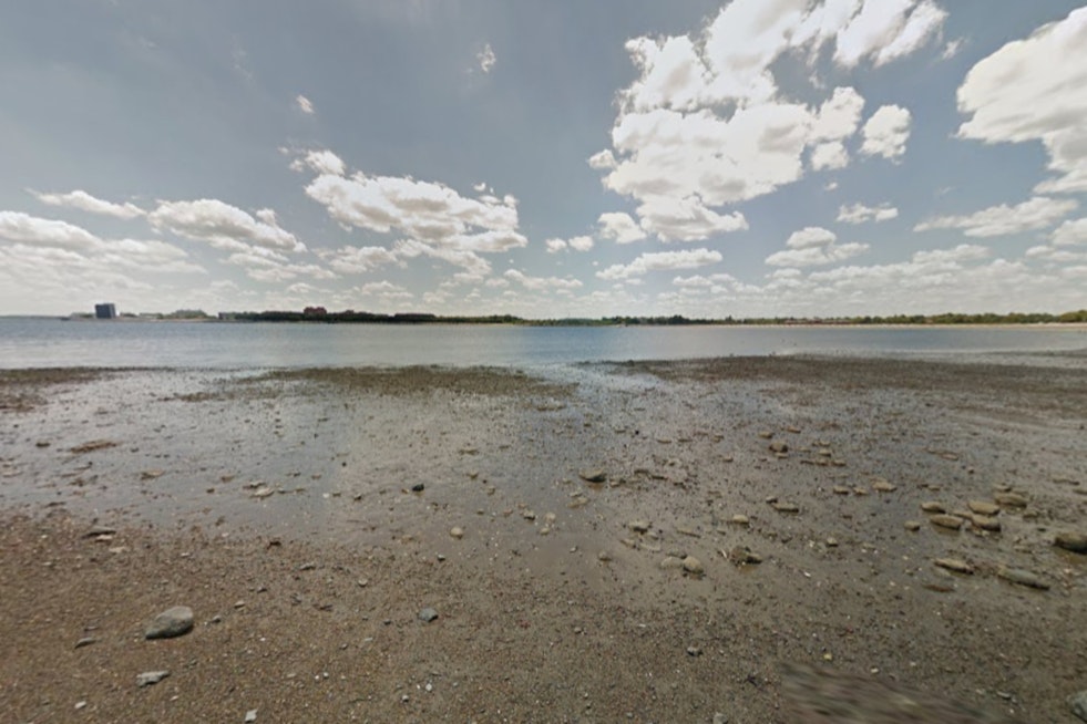Curley Beach Jellyfish Stings Put South Boston On Alert