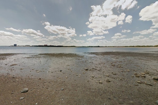 Curley Beach Jellyfish Stings Put South Boston On Alert