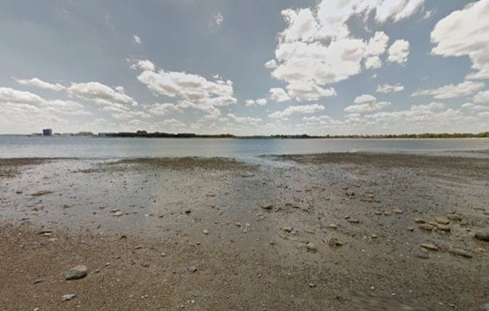 Curley Beach Jellyfish Stings Put South Boston On Alert