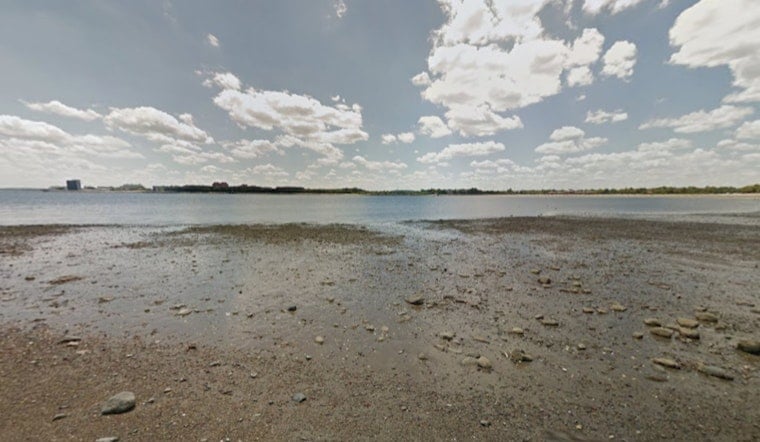 Curley Beach Jellyfish Stings Put South Boston On Alert