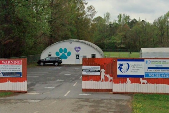 Dallas Couple’s New Shelter Dog Turns Rabid, Triggers Pet Quarantine