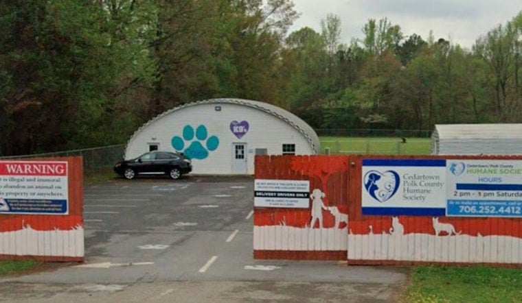 Dallas Couple’s New Shelter Dog Turns Rabid, Triggers Pet Quarantine