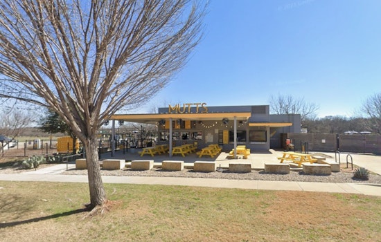 Dallas Fort Worth Dog Bar Mutts Shutters Overnight, Stuns Regulars
