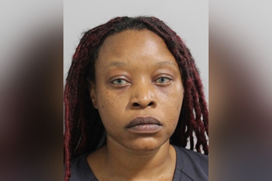 Davenport House of Horrors Puppies Rescued From Filthy Home, Woman Charged