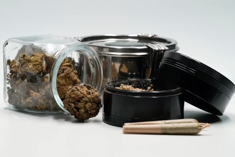 D.C. Weed War: Cops Padlock Trio of Illegal Pot Shops as Crackdown Hits 113