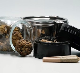 D.C. Weed War: Cops Padlock Trio of Illegal Pot Shops as Crackdown Hits 113