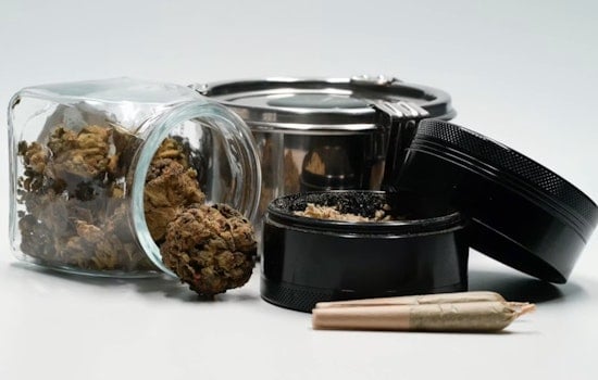 D.C. Weed War: Cops Padlock Trio of Illegal Pot Shops as Crackdown Hits 113