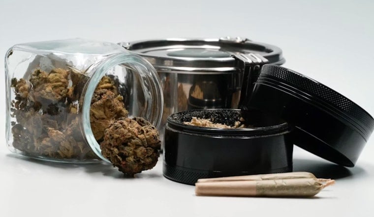D.C. Weed War: Cops Padlock Trio of Illegal Pot Shops as Crackdown Hits 113