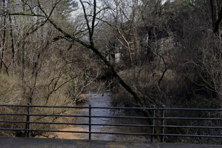 Dead Fish, Big Questions: Atlanta Probes Suspected South River Chemical Leak