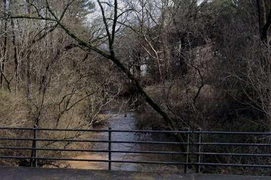 Dead Fish, Big Questions: Atlanta Probes Suspected South River Chemical Leak