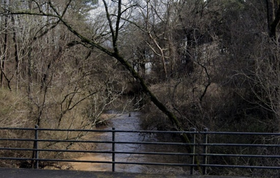 Dead Fish, Big Questions: Atlanta Probes Suspected South River Chemical Leak