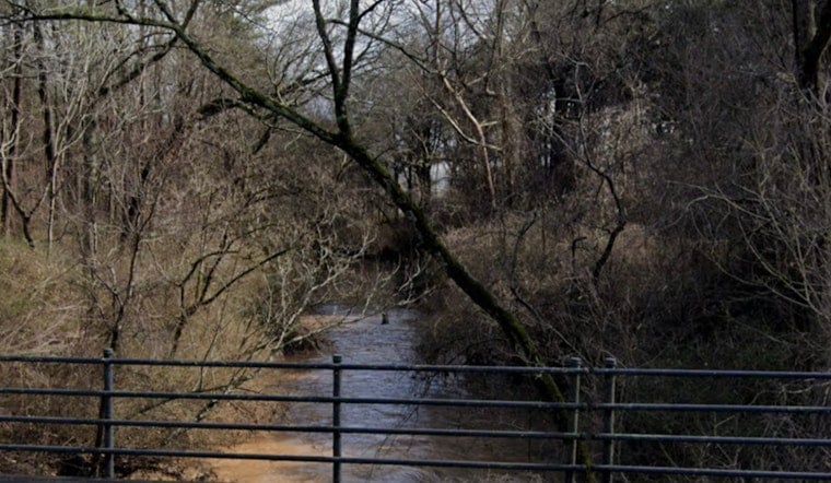 Dead Fish, Big Questions: Atlanta Probes Suspected South River Chemical Leak