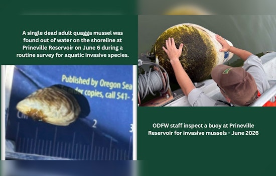 Dead Mussel, Big Scare At Prineville Reservoir