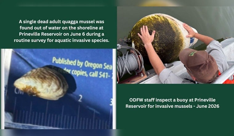 Dead Mussel, Big Scare At Prineville Reservoir
