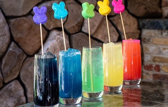 Denver Bars Turn Pride Cocktails Into Cash For Center On Colfax