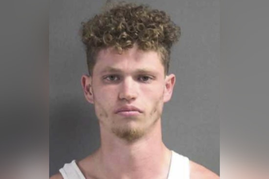 Detectives Say Palm Coast Man Preyed on Volusia Teens in Park Sex Case