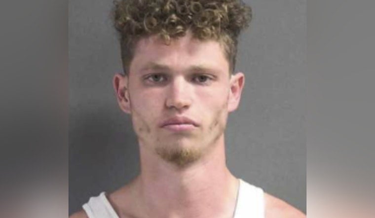 Detectives Say Palm Coast Man Preyed on Volusia Teens in Park Sex Case