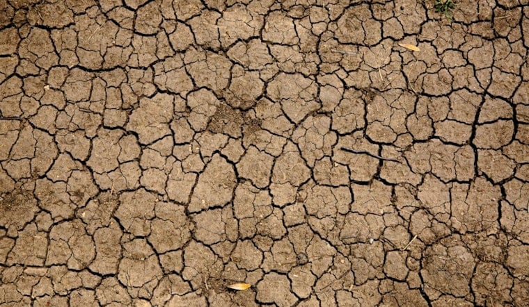Detroit-Area Swamps Drying Up As Great Lakes Wetlands Wither