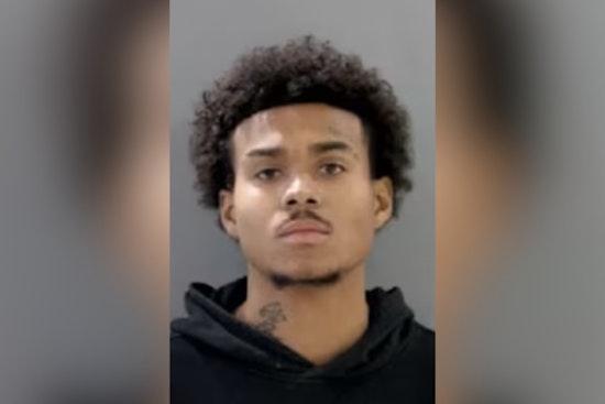 Detroit Man Cops Plea In Fatal West Side Double Shooting