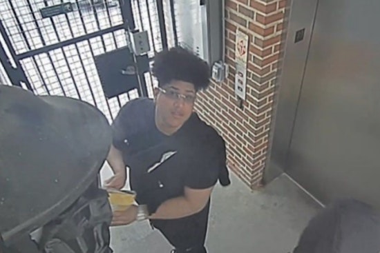 DMV Mailbox Bandit Busted: D.C. Man Admits Arrow Key Crime Spree
