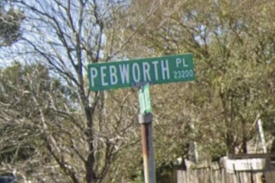 Dog Bite On Pebworth Place Draws Deputies And EMS To Spring Block