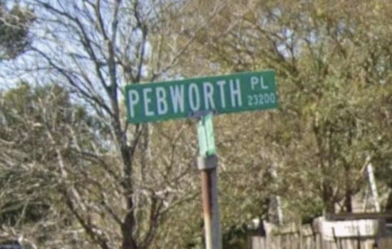 Dog Bite On Pebworth Place Draws Deputies And EMS To Spring Block