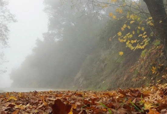 Downtown LA Weather: Foggy Start, Sundowner Winds Possible