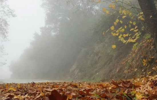 Downtown LA Weather: Foggy Start, Sundowner Winds Possible
