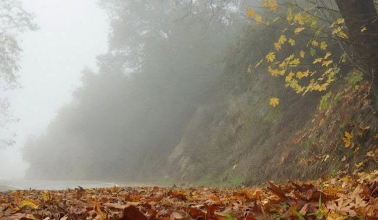 Downtown LA Weather: Foggy Start, Sundowner Winds Possible