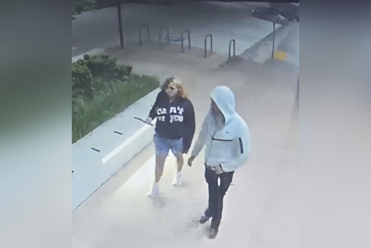 Elderly Shiba Inu Snatched Outside Kirkland QFC, Cops Hunt Dognappers