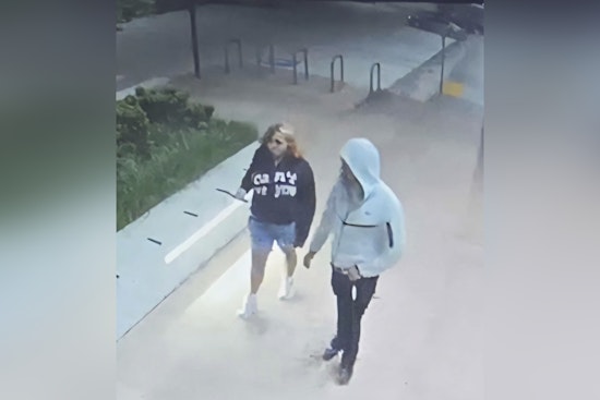 Elderly Shiba Inu Snatched Outside Kirkland QFC, Cops Hunt Dognappers