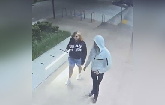 Elderly Shiba Inu Snatched Outside Kirkland QFC, Cops Hunt Dognappers