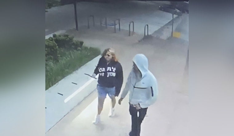 Elderly Shiba Inu Snatched Outside Kirkland QFC, Cops Hunt Dognappers
