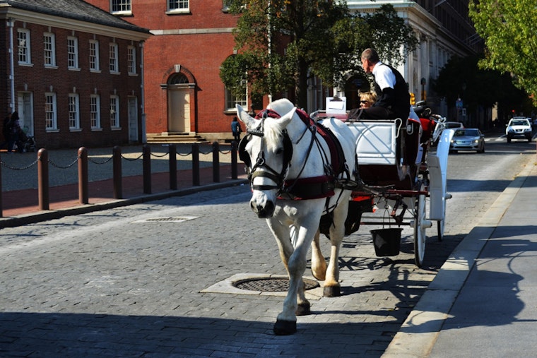 End Of The Line For Philly’s Carriage Horses As Council Fast-Tracks Citywide Ban