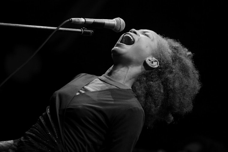 Erykah Badu at Everwise Amphitheater in Indianapolis