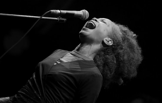 Erykah Badu at Everwise Amphitheater in Indianapolis