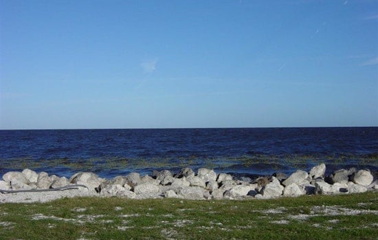 Everglades Cleanup Falling Short As Florida Faces Deadline