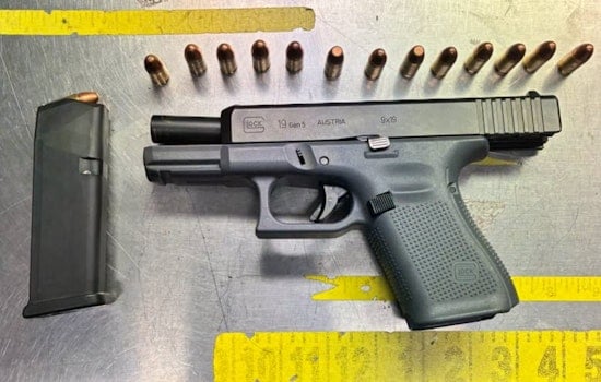 Fairfield Homeowner Stares Down Gun In Early‑Morning Yard Showdown