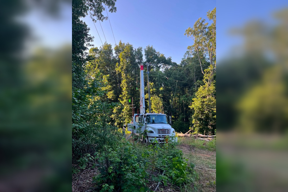 Palmetto power outage after tree knocks out transmission line