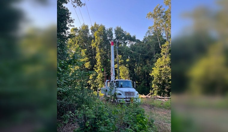 Fallen Tree Sparks Nighttime Blackout Across Palmetto